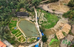 【乡村振兴看昭平】种养循环 生态增收两相宜