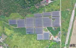 【四中全会精神在基层】抢抓冬种黄金期 绘就振兴新图景