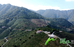 【辉煌“十四五” 昭平展新颜】厚植生态底色 绘就昭平县绿色发展新画卷