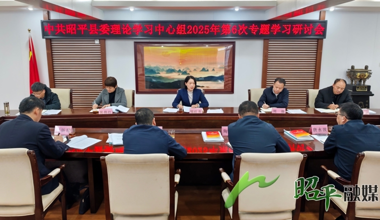 昭平县委理论学习中心组召开2025年第6次专题学习研讨会