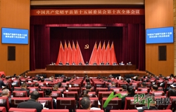 中国共产党昭平县第十五届委员会第十次全体会议公报