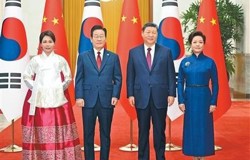 习近平同韩国总统李在明举行会谈