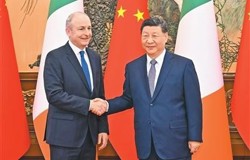 习近平会见爱尔兰总理马丁