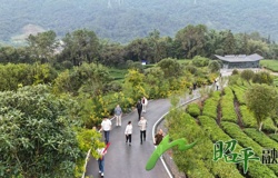 深化“航空+”帮扶模式 以“暖心疗养”共绘文旅蓝图