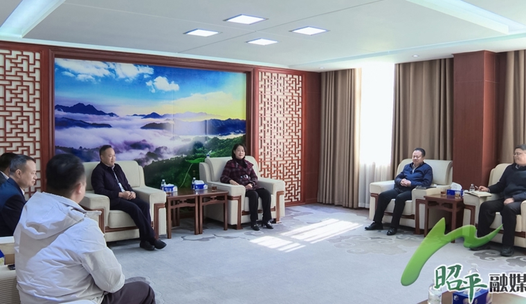 昭平县举行五将风电场项目建设工作座谈会暨《能碳管理战略合作框架协议》签约仪式