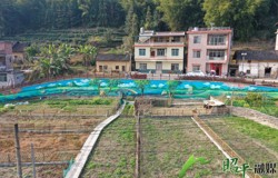 【乡村振兴看昭平】文竹镇：小墙绘扮靓移民村