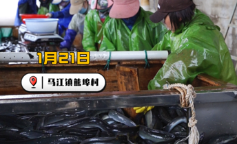 家乡的“鳗”妙产业！