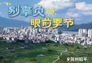 朋友圈晒遍了各地美景 却最想念家乡的那条江、那座山（制作：谢琳 审核：陈龙）