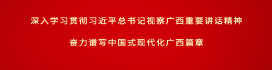 深入学习贯彻习近平总书记视察广西重要讲话精神 奋力谱写中国式现代化广西篇章
