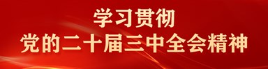 深入学习贯彻党的二十届三中全会精神